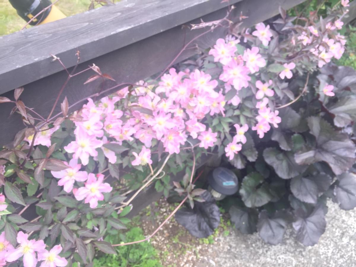 Villa Loca Garden Yamanakako Dış mekan fotoğraf